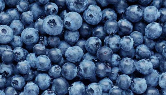 A pile of blueberries